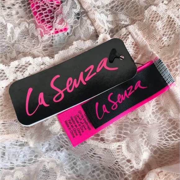 NWT 13 pairs of large / XL panties Victoria secret , LaSenza , Danskin , Hush - Picture 3 of 12